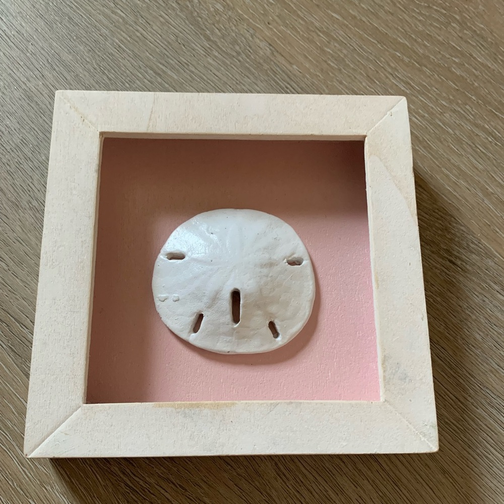 Sand dollar art